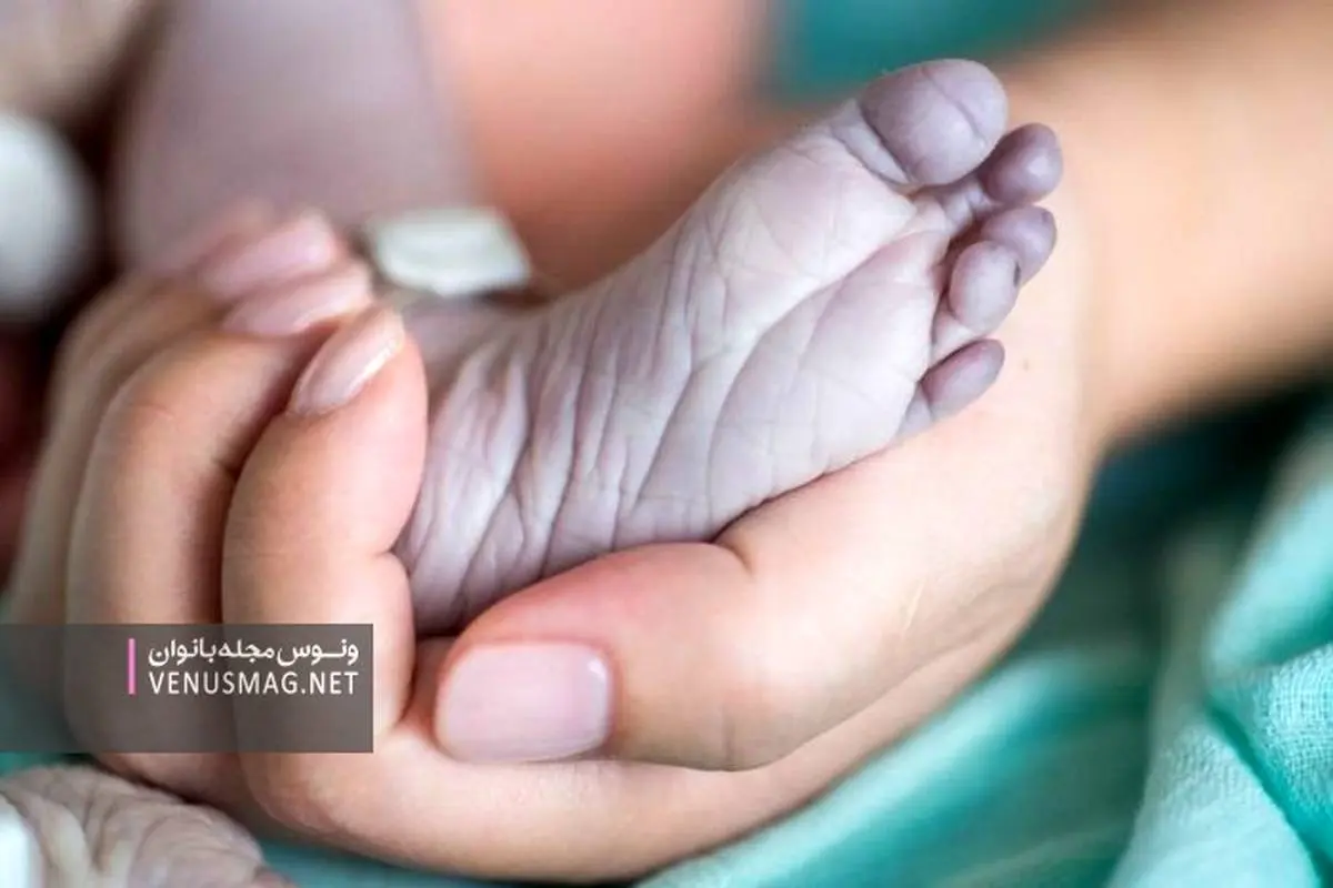 استفاده از پیکر نوزادان مرده برای حمل مواد مخدر + عکس