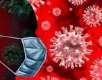 اصلی ترین منبع انتقال ویروس کرونا شناسایی شد