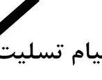 پیام تسلیت وزیر اقتصاد به مناسبت درگذشت آیت الله هاشمی شاهرودی