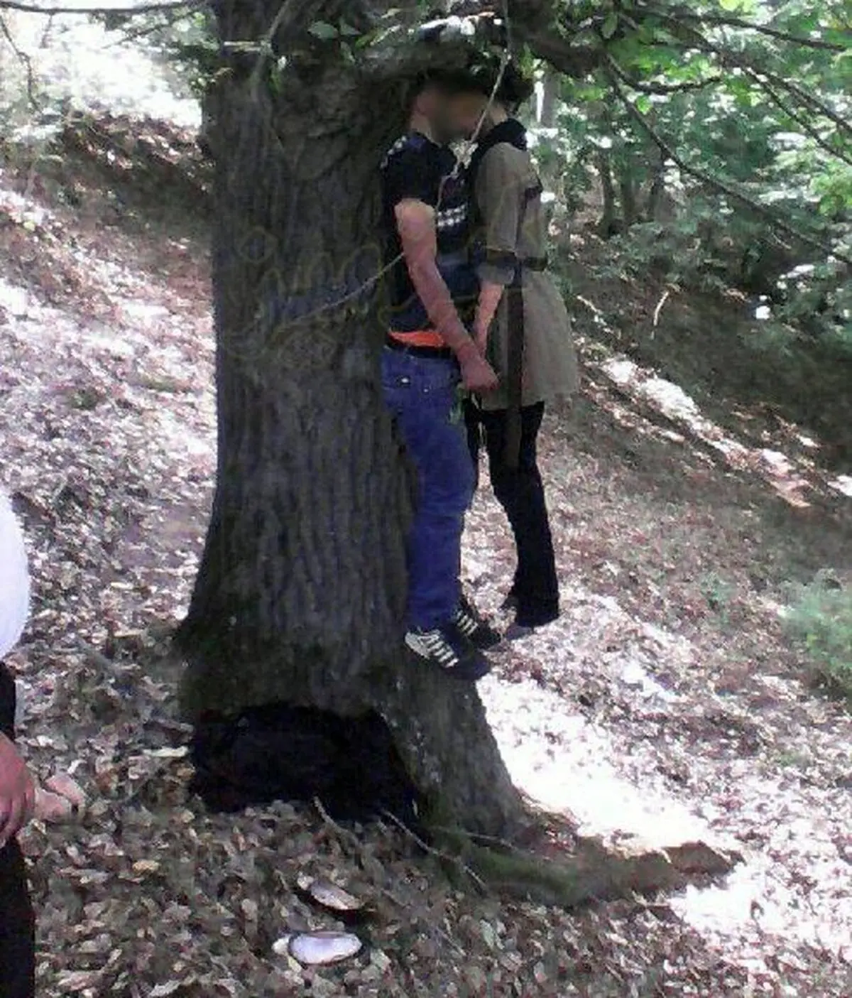 خودکشی همزمان دختر و پسر جوان در جنگل ساری + تصاویر