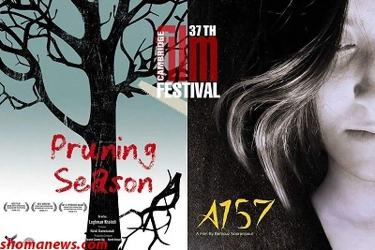 اکران مستند‌های «فصل هرس» و «A۱۵۷» در جشنواره انگلستان