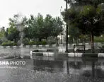 بارش شدید باران دیشب در تهران + فیلم