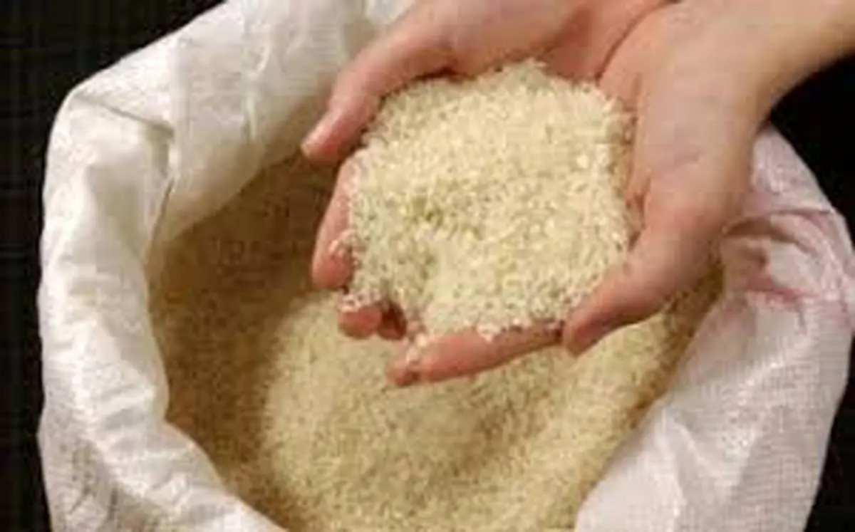 تعلیق پروانه‌های وارداتی برنج تایلندی