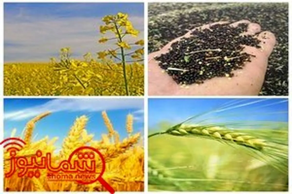 ۱۰۰۰میلیارد تسهیلات برای خریدتضمینی وتوافقی کشاورزی اختصاص یافت