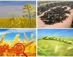 ۱۰۰۰میلیارد تسهیلات برای خریدتضمینی وتوافقی کشاورزی اختصاص یافت
