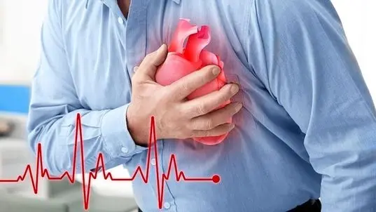 این هفت ماده خوراکی را مصرف کنید تا از بیماری قلبی در امان باشید| ادویه ها چه نقشی در سلامت قلب شما دارند؟