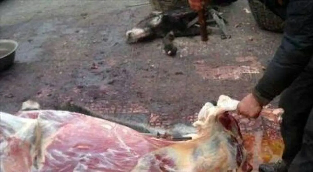 جزئیات دستگیری فروشنده گوشت الاغ در فلاورجان