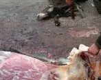 جزئیات دستگیری فروشنده گوشت الاغ در فلاورجان
