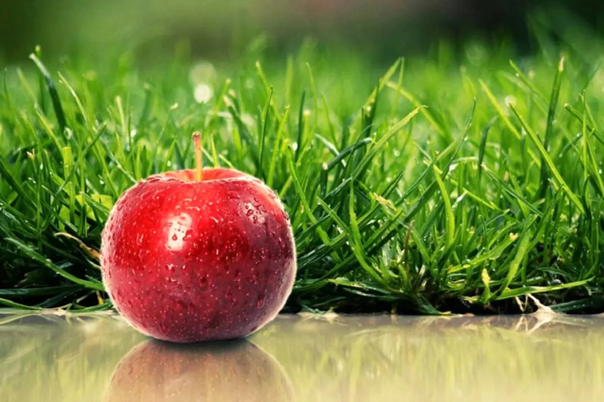 دلایل توصیه پزشکان به مصرف روزانه سیب چیست؟
