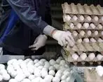 قاچاق دلیل اصلی افزایش قیمت تخم مرغ 