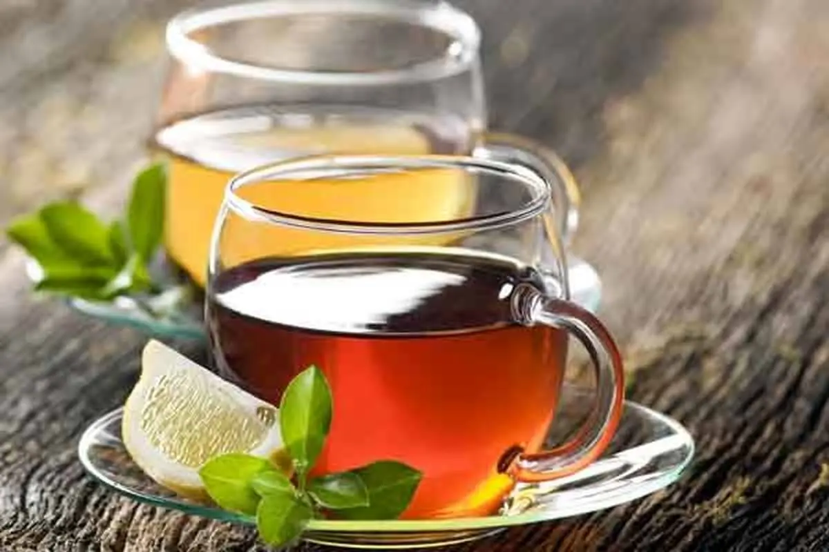 چای سبز بهتر است یا چای سیاه؟ | مقایسه خواص این دو نوشیدنی محبوب