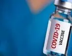 واکسن مشترک ایرانی کرونا در بهمن ماه رونمایی می شود