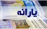 جزییات حذف یارانه نقدی از زبان سخنگوی دولت 