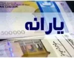 جزییات حذف یارانه نقدی از زبان سخنگوی دولت 