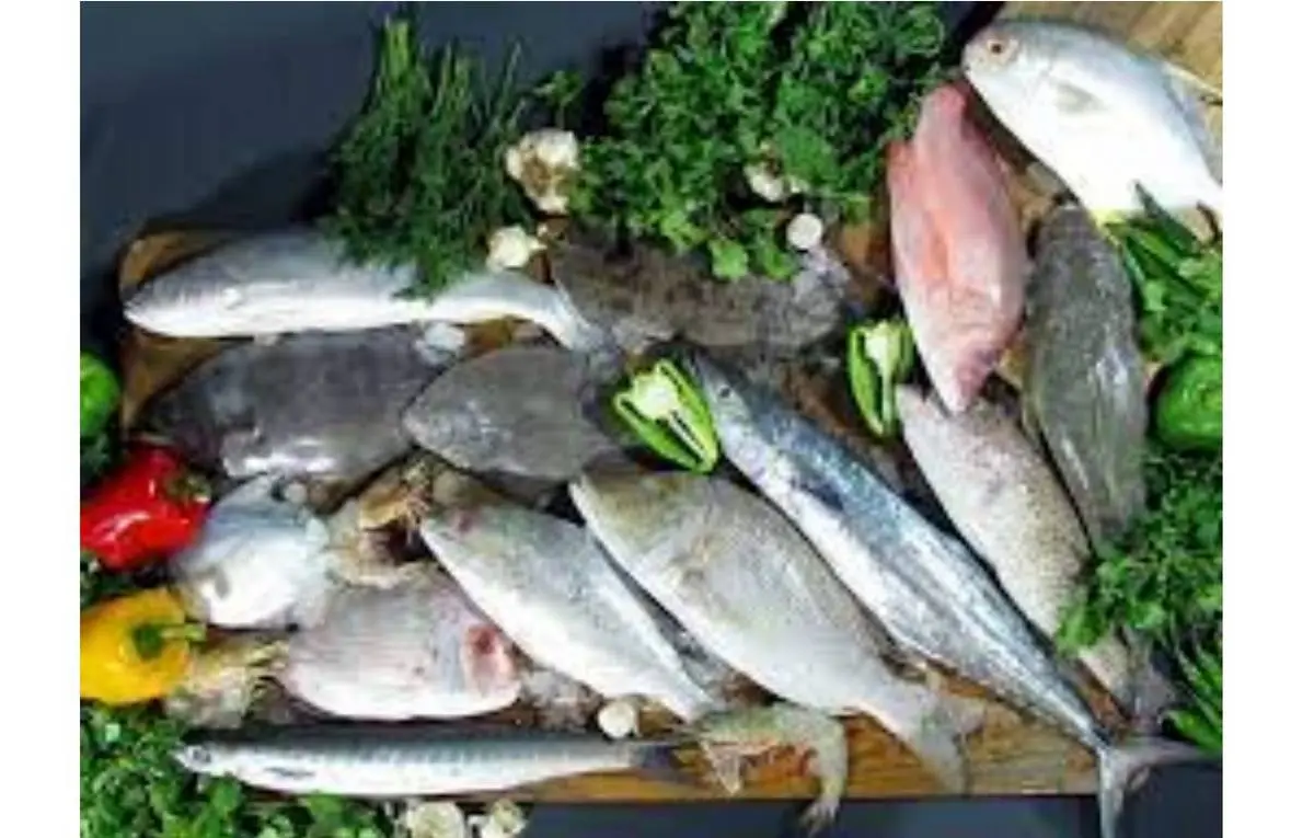 پرطرفدارترین ماهی‌هایی که در کشور ایران یافت می‌شود