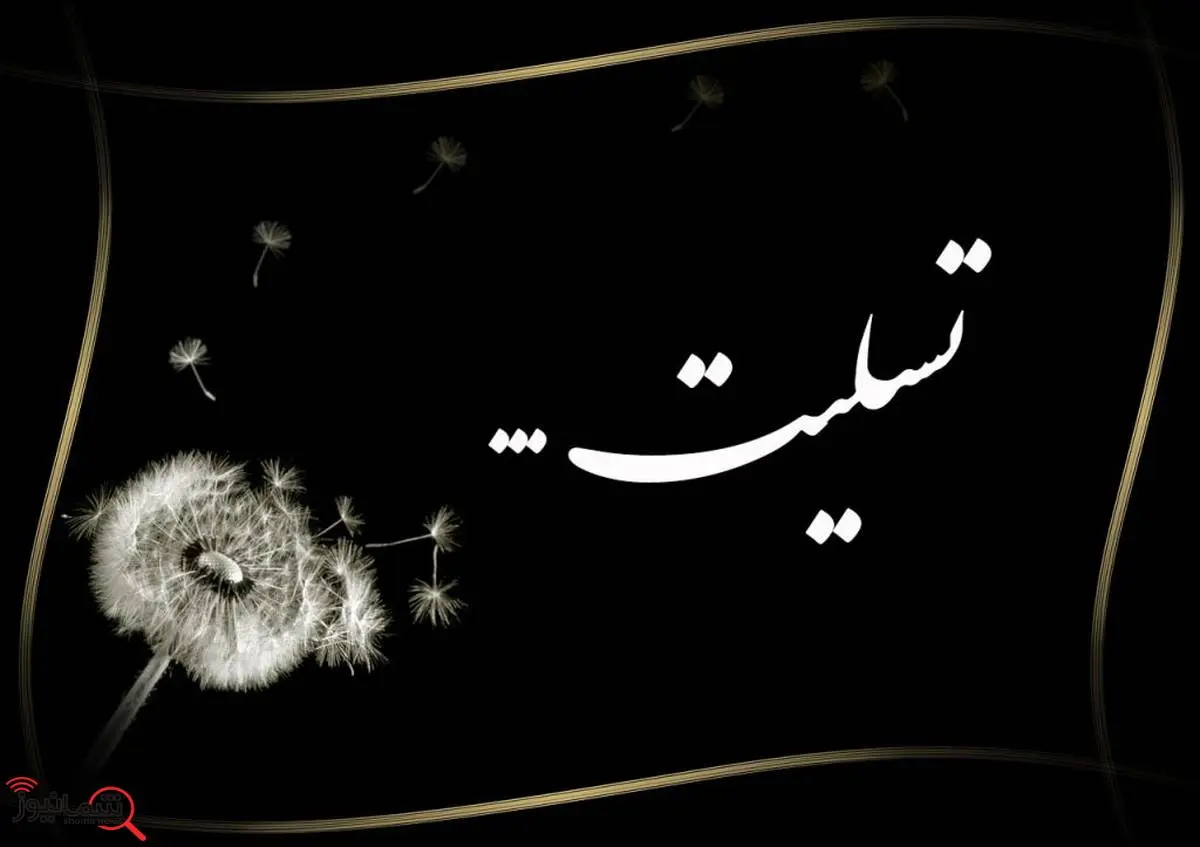 مدیرعامل بانک تجارت شهادت فرزند همکار فرهیخته این بانک را تسلیت گفت