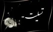 مدیرعامل بانک تجارت شهادت فرزند همکار فرهیخته این بانک را تسلیت گفت