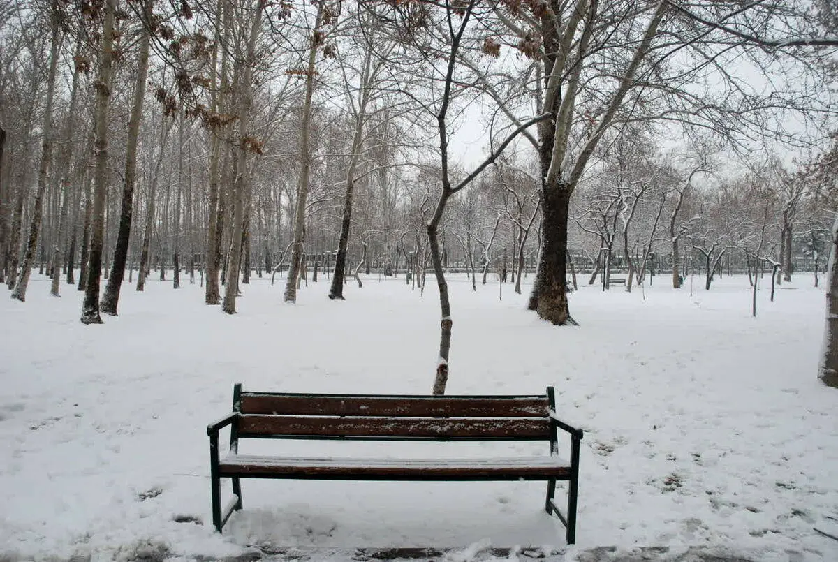 آخرین وضعیت آب و هوایی در کشور / منتظر بارش برف سنگین باشید 