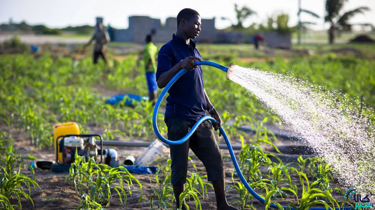 سویا، کشاورزان غنایی را به بورس کالا برد 