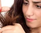 چرا موهایمان موخوره می گیرد؟ + راهکارهایی برای پیشگیری و درمان