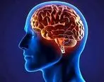 تاثیر  رابطه جنسی روی مغز انسان به 8 شیوه