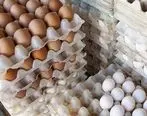تاثیر قیمت ارز بر قیمت تخم‌مرغ
