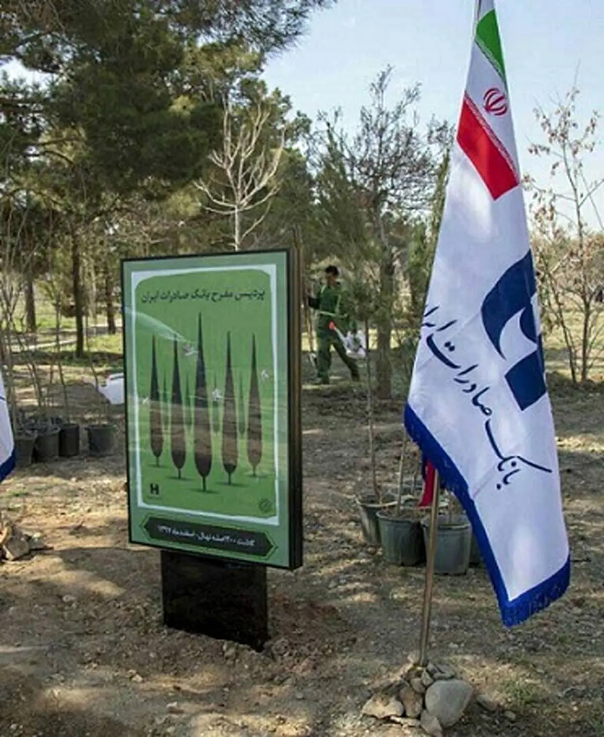 ​حمایت بانک صادرات ایران از طرح ملی نهضت درختکاری مورد قدردانی قرار گرفت
