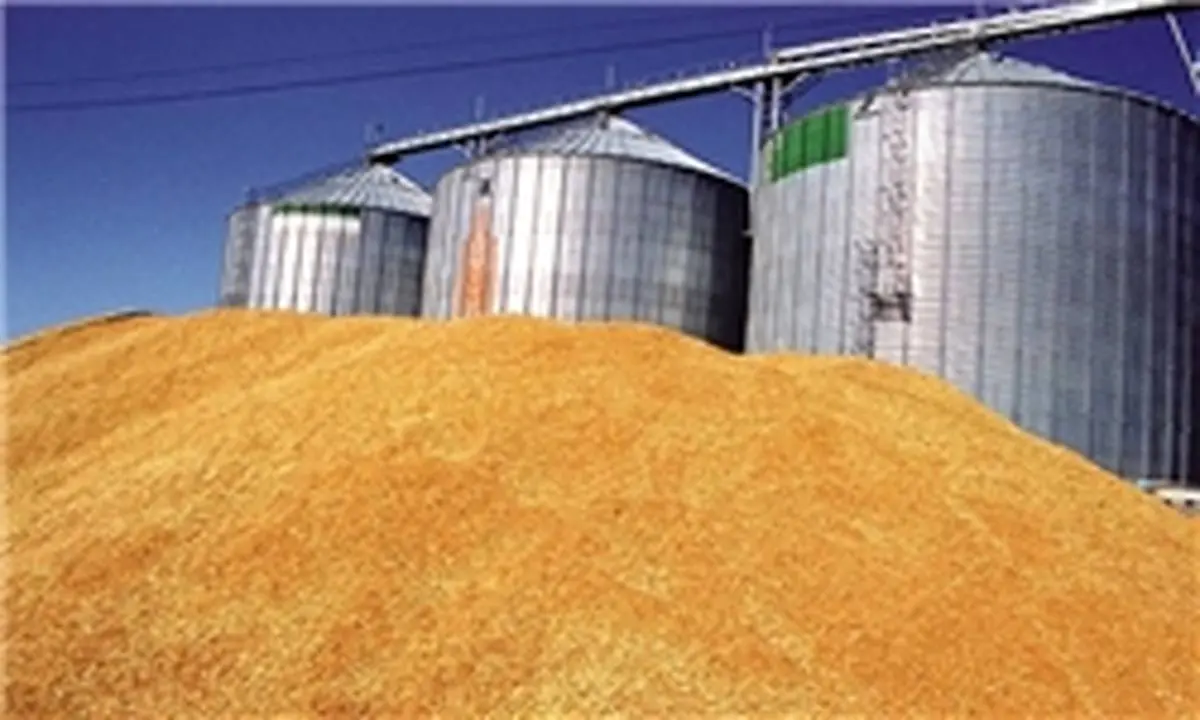 ایران از قزاقستان گندم خرید/ کاهش 4 برابری صادرات گندم روسیه به ایران