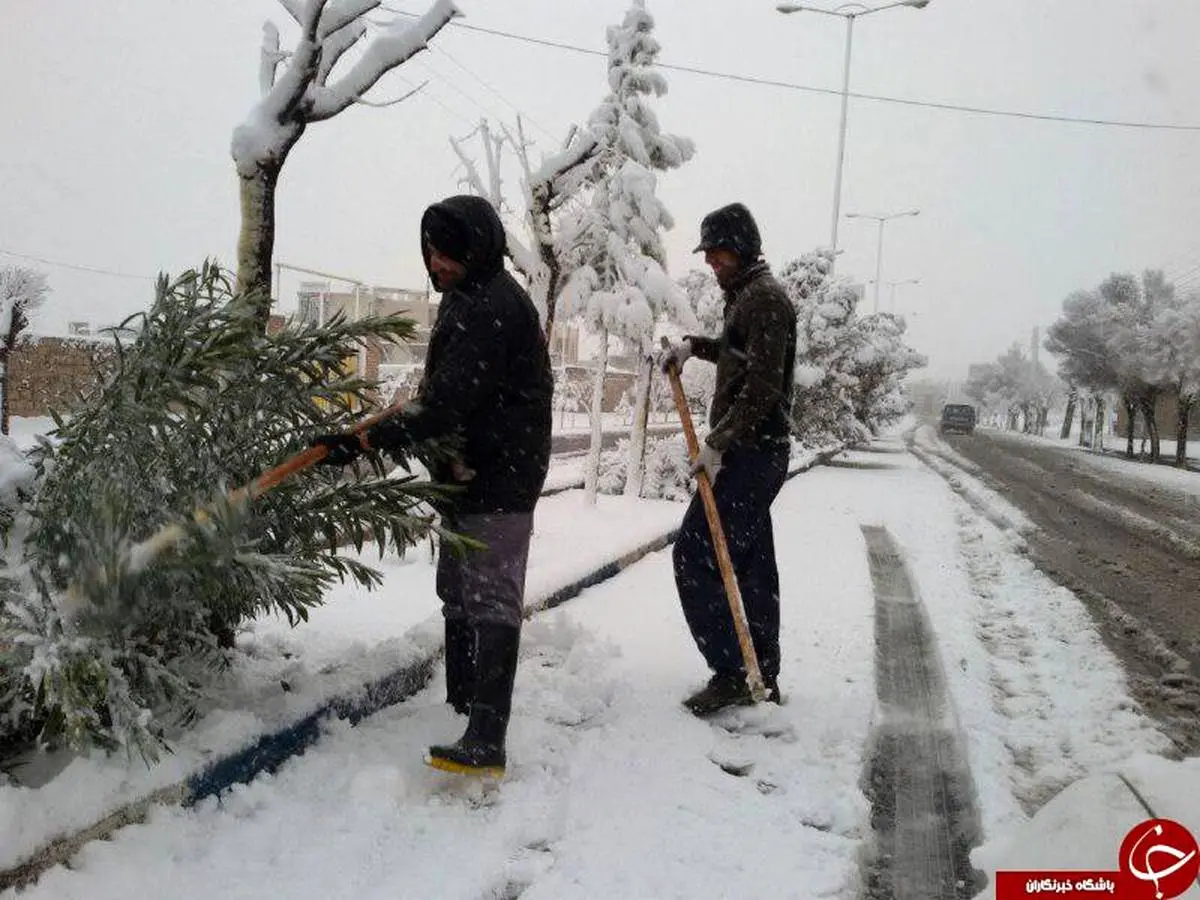 برف بهاری مردم کویر را غافلگیر کرد +تصاویر