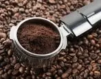 تفاله قهوه را دور نریزید | قارچ خوراکی و ارگانیک خود را تامین کنید + دانلود ویدئو