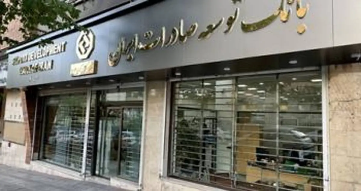 آمادگی بانک توسعه صادرات ایران برای گسترش همکاری با صنایع استان کرمان