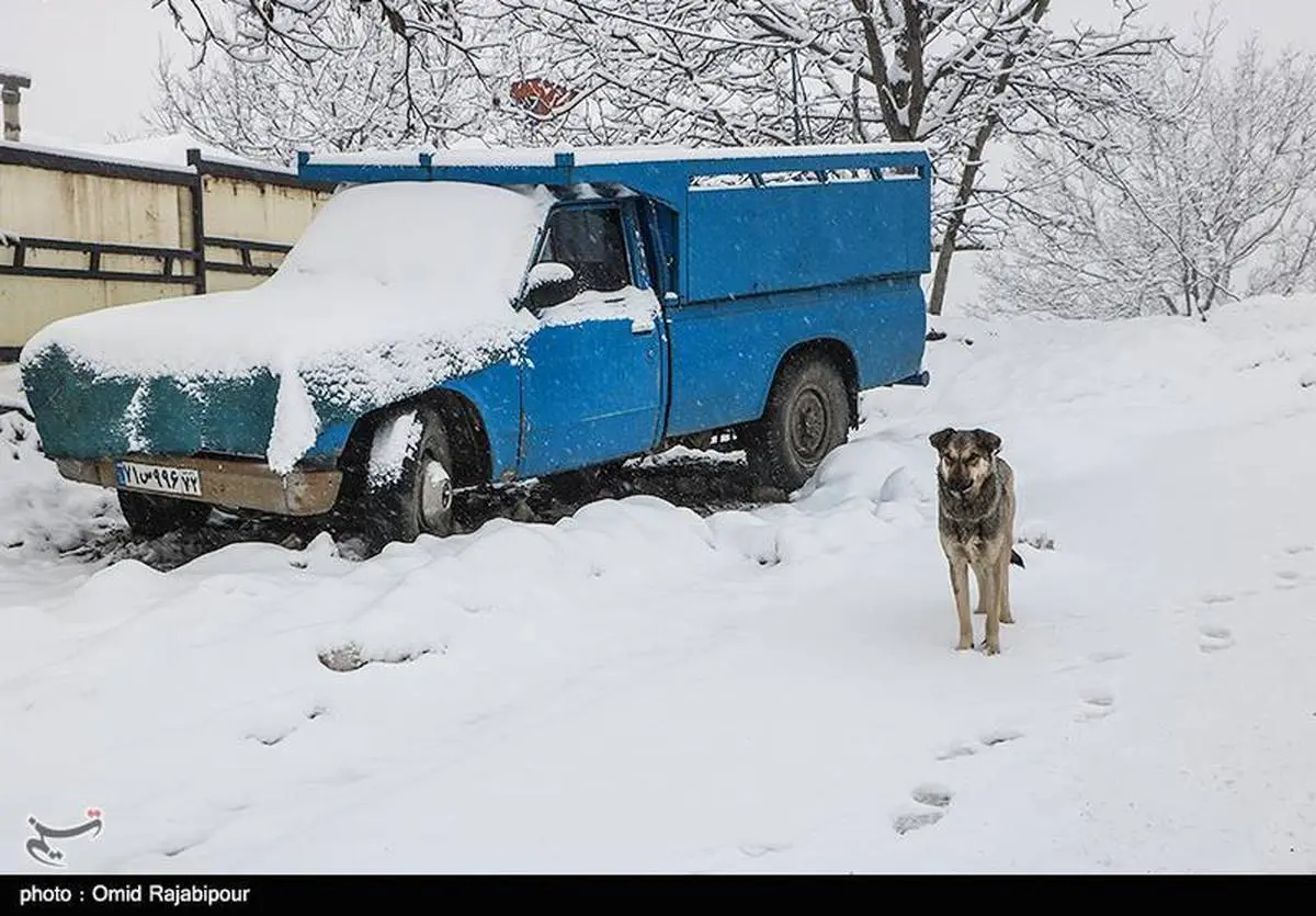 آغاز بارش برف و باران از چهارشنبه