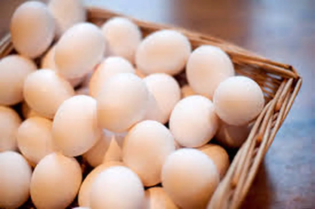 جدال بر سر قیمت تخم مرغ ادامه دارد+قیمت و جزئیات