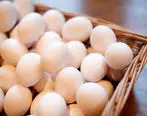 جدال بر سر قیمت تخم مرغ ادامه دارد+قیمت و جزئیات