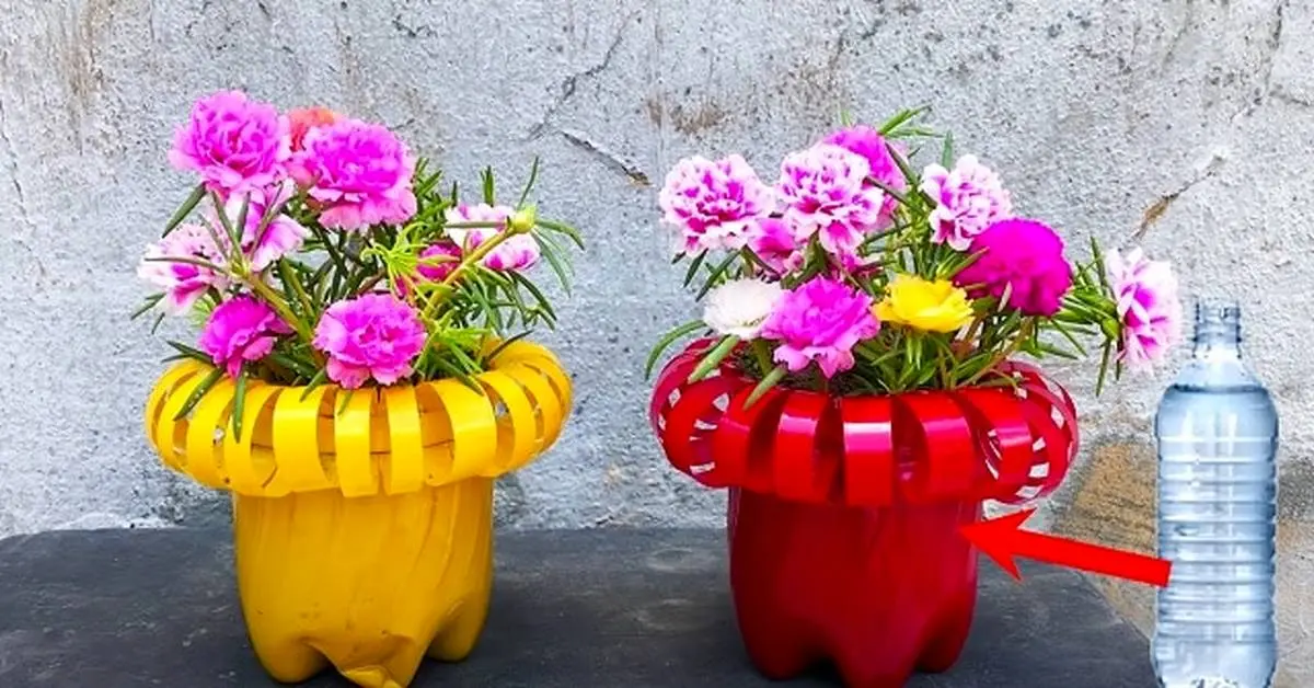 (ویدئو) چند نکته مهم برای خرید گلدان