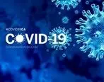 شناسایی ۶ نوع ویروس کرونا با علائم مختلف