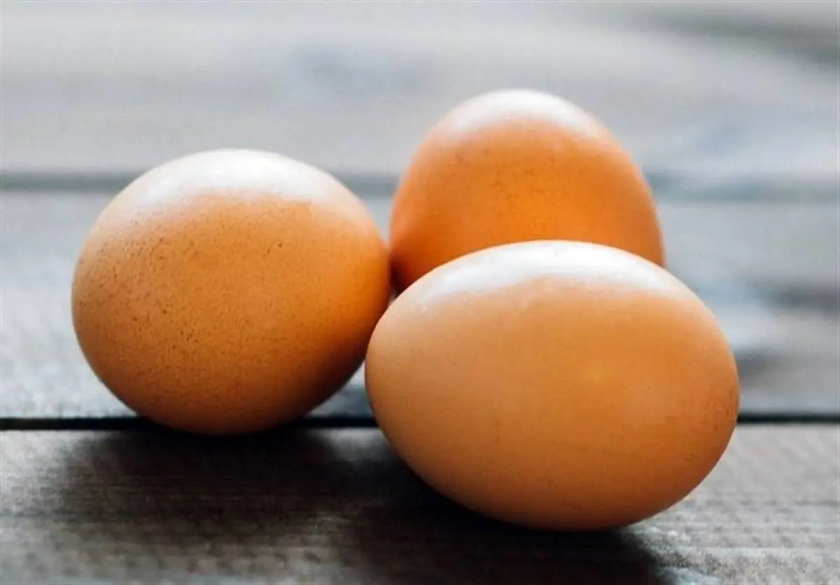 ۲ دلیل افزایش قیمت تخم‌‌مرغ