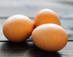 ۲ دلیل افزایش قیمت تخم‌‌مرغ