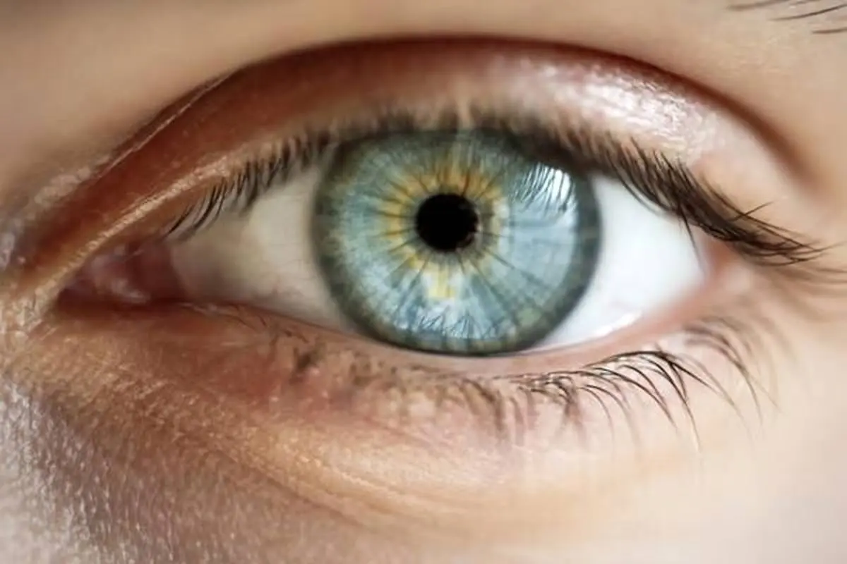 چگونه با پروتئین بیماری های چشم را درمان کنیم ؟ 