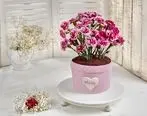 دستور پخت کیک روز مادر گلدانی