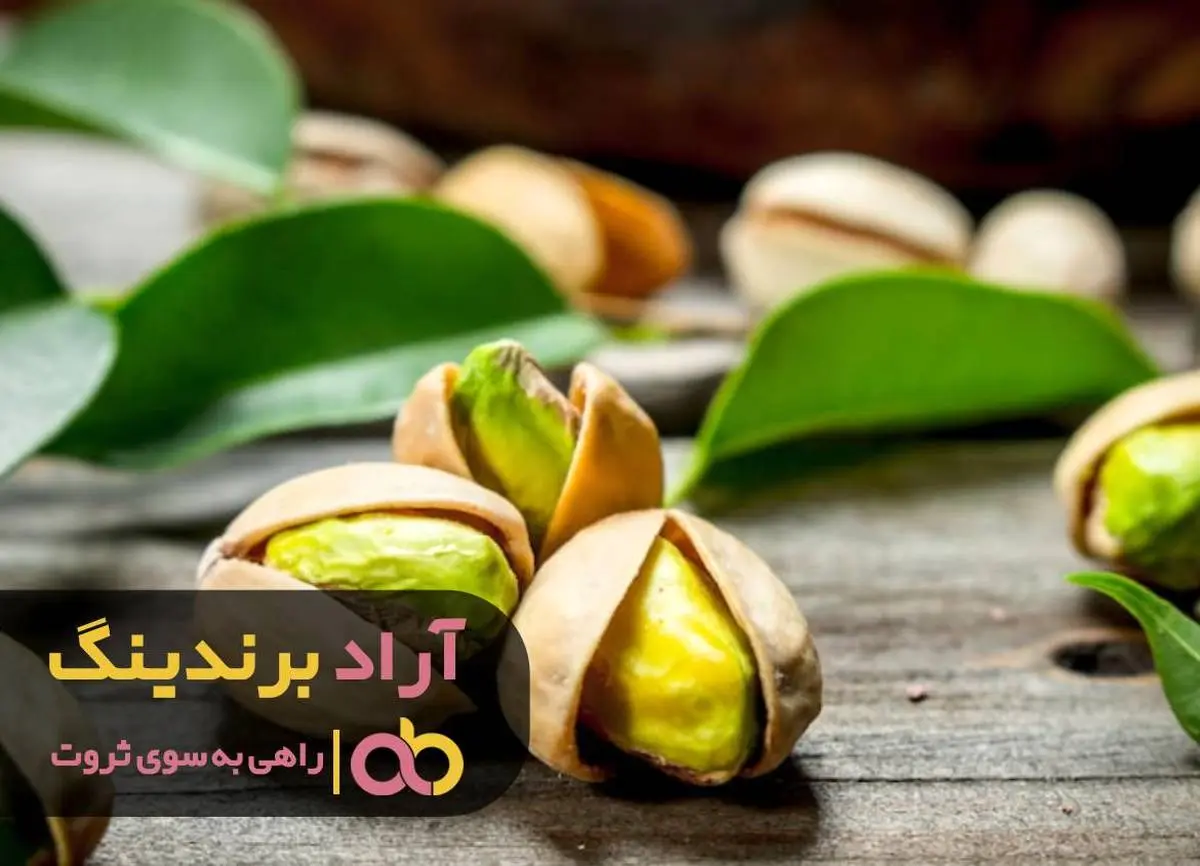 سختی هایی که برای رسیدن به ثروت متحل شدم