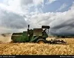خرید تضمینی بیش از 7 میلیون تن گندم در شعب بانک کشاورزی تا نیمه مردادماه