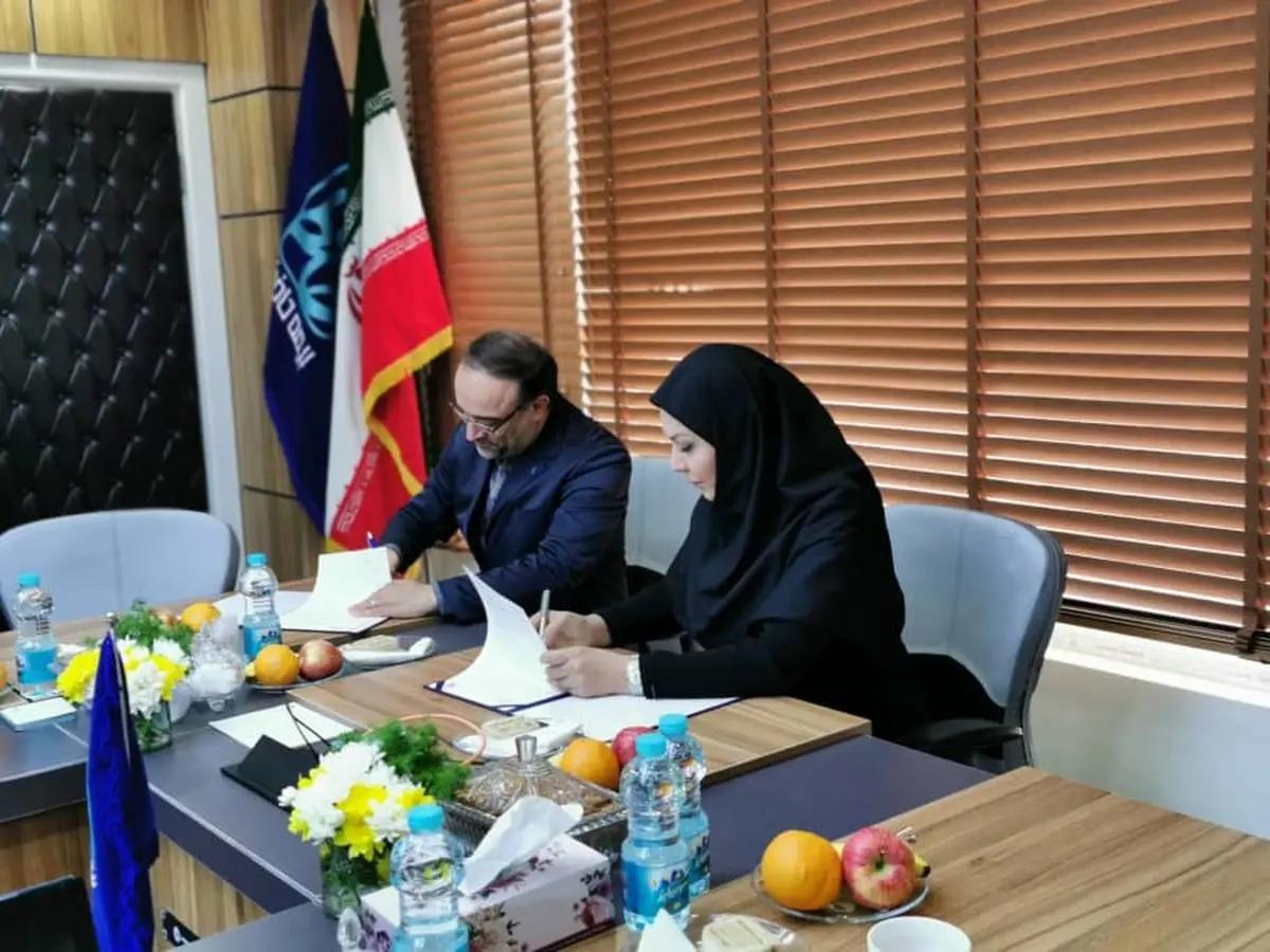  همکاری صندوق ضمانت صادرات ایران و بیمه های تجاری برای توسعه صادرات 