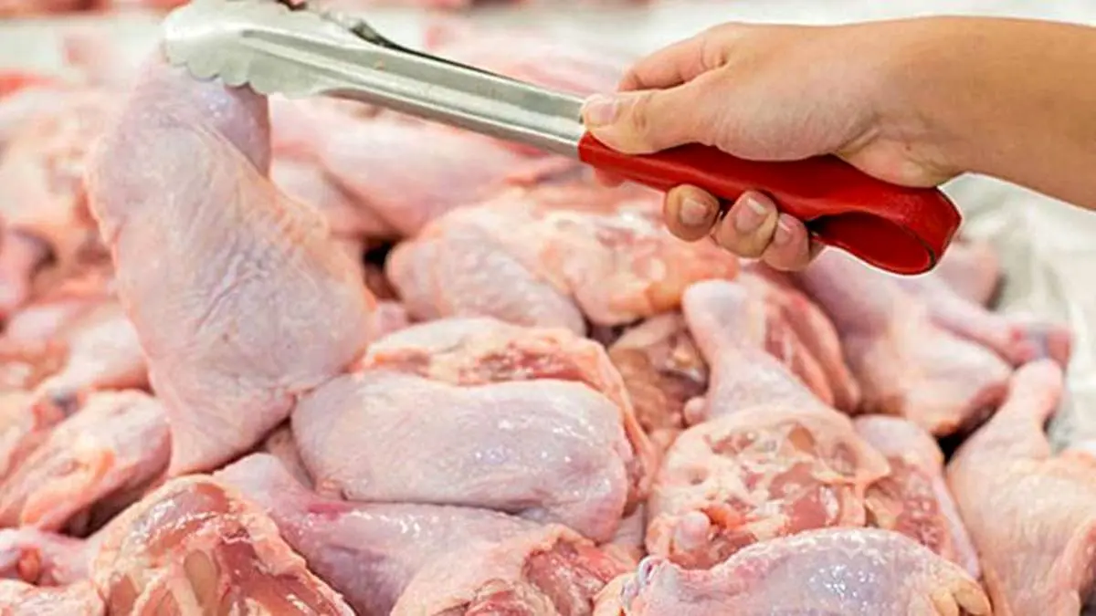 روند کاهشی قیمت مرغ در بازار + جزئیات