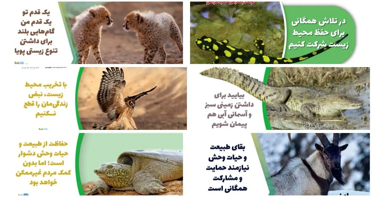 تصاویر حیات وحش در محیط زیستی ترین ایستگاه مترو تهران
