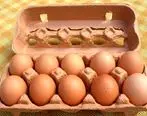 ماجرای واریز یارانه تخم مرغ چیست؟