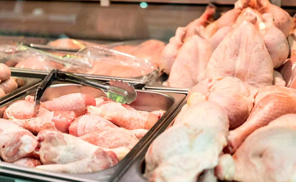 خبر شوکه کننده از قیمت مرغ | قیمت مرغ افزایش می یابد
