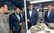 بازدید مدیران ارشد بانک توسعه صادرات ایران از شرکت کلور