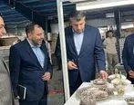 بازدید مدیران ارشد بانک توسعه صادرات ایران از شرکت کلور