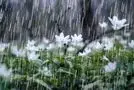 بارشهای شدید در راه این 9 استان کشور!/ هواشناسی این استان ها را از دست ندهید! 